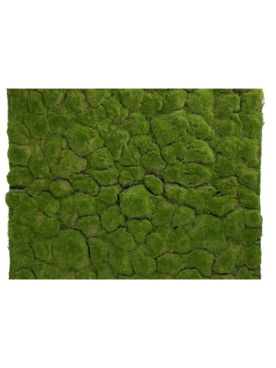 MATA MECH MOSS LAWN 100CMX100CM 0016 GREEN