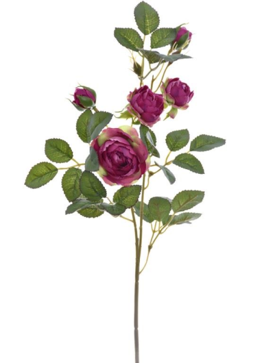 RÓŻA MINI NA GAŁĄZCE 50CM SUN760 BEAUTY GREEN