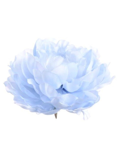 PEONIA WYROBOWA 15CM SUN406 POWDER BLUE