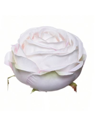RÓŻA POPPY GŁOWA 9CM SUN564 CREAM POWDER PINK