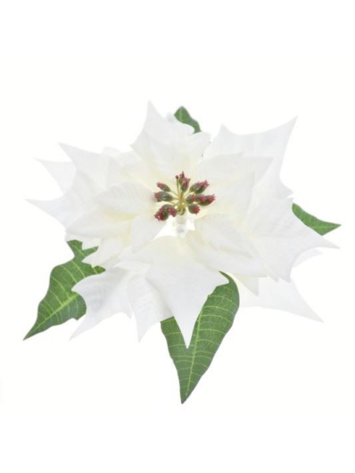 POINSECJA GŁOWA VELVET 18CM SUN714 WHITE