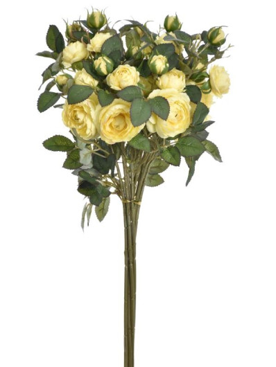 RÓŻA MINI NA GAŁĄZCE 50CM SUN760 LT YELLOW