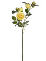 RÓŻA MINI NA GAŁĄZCE 50CM SUN760 LT YELLOW