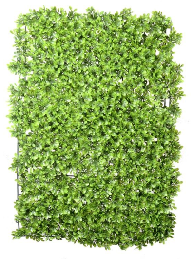 MATA BUKSZPAN BOXWOOD 60CM X 40CM MY156 GREEN