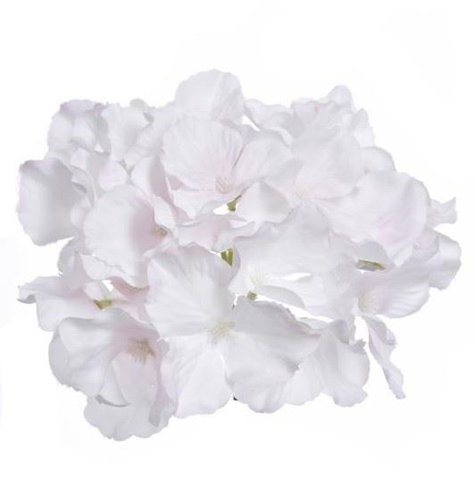 HORTENSJA GŁÓWKA 15CM SUN644 PEARL LT PINK