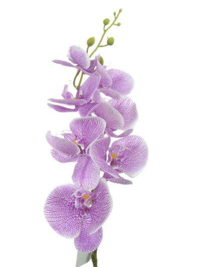 Storczyk guma 85cm Aj45598 Purple