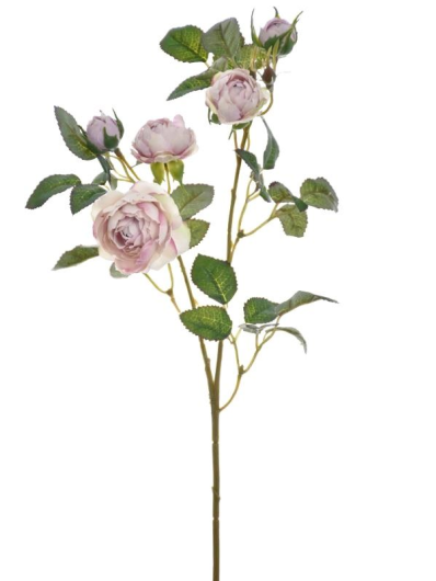 RÓŻA MINI NA GAŁĄZCE 50CM SUN760 POWDER VIOLET GR