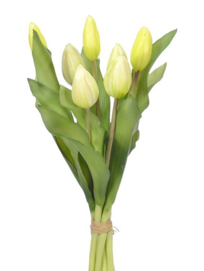PĘCZEK TULIPANÓW W PĄKU 32CM WHITE GREEN
