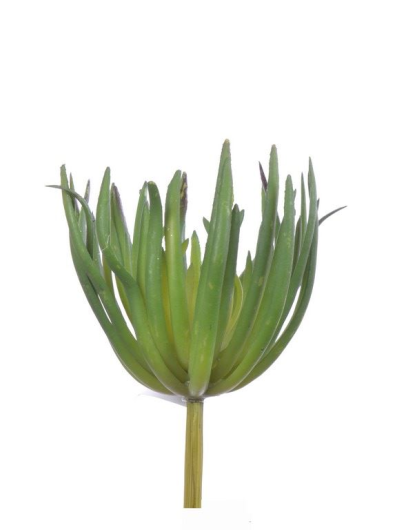 Suculent 20 cm yd199 green