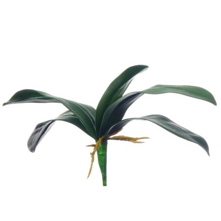 LIŚĆ STORCZYKA GUMA 36CM GREEN