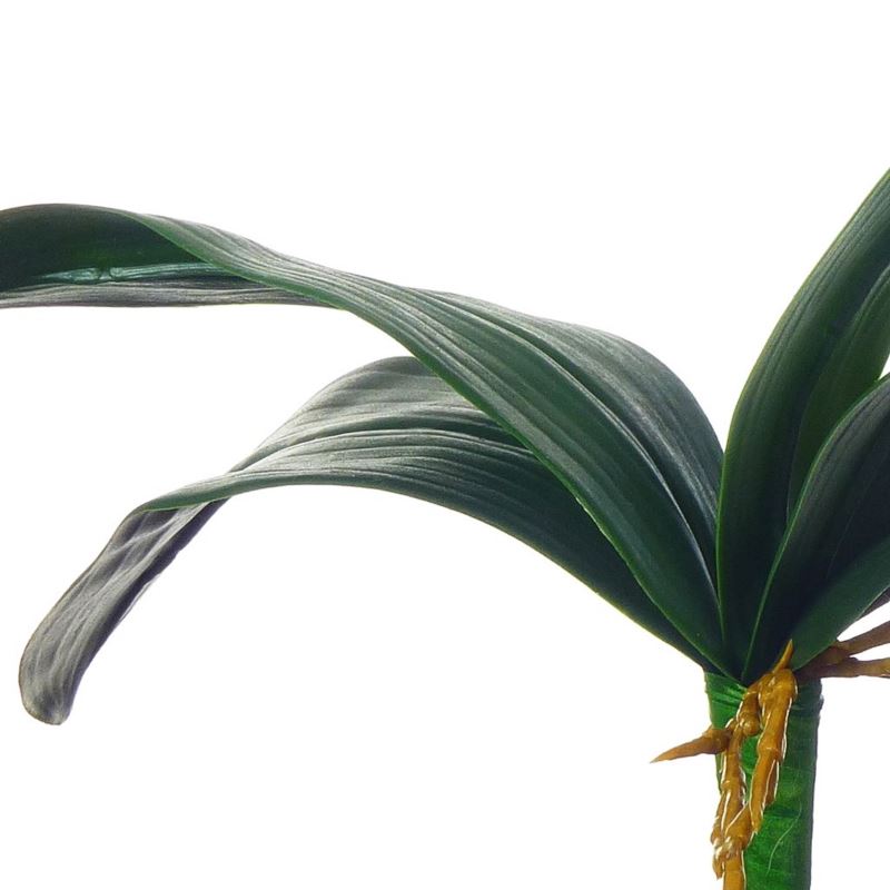 LIŚĆ STORCZYKA GUMA 36CM GREEN