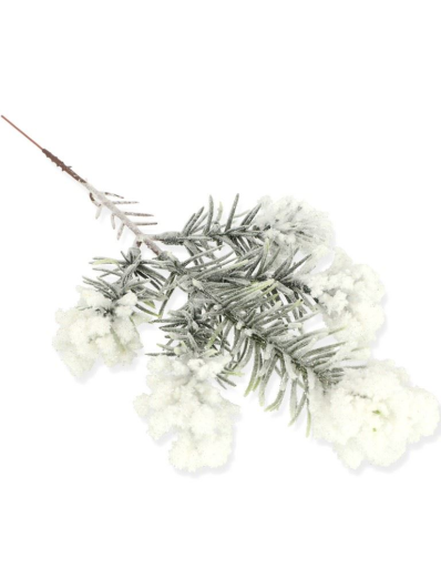 Sosna pick ośnieżony 25cm /5309