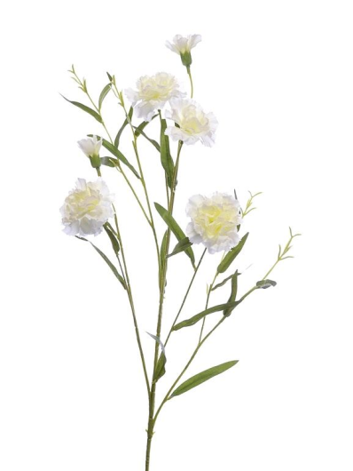 GOŹDZIK GAŁĄZKA 75CM SUN641 CREAM