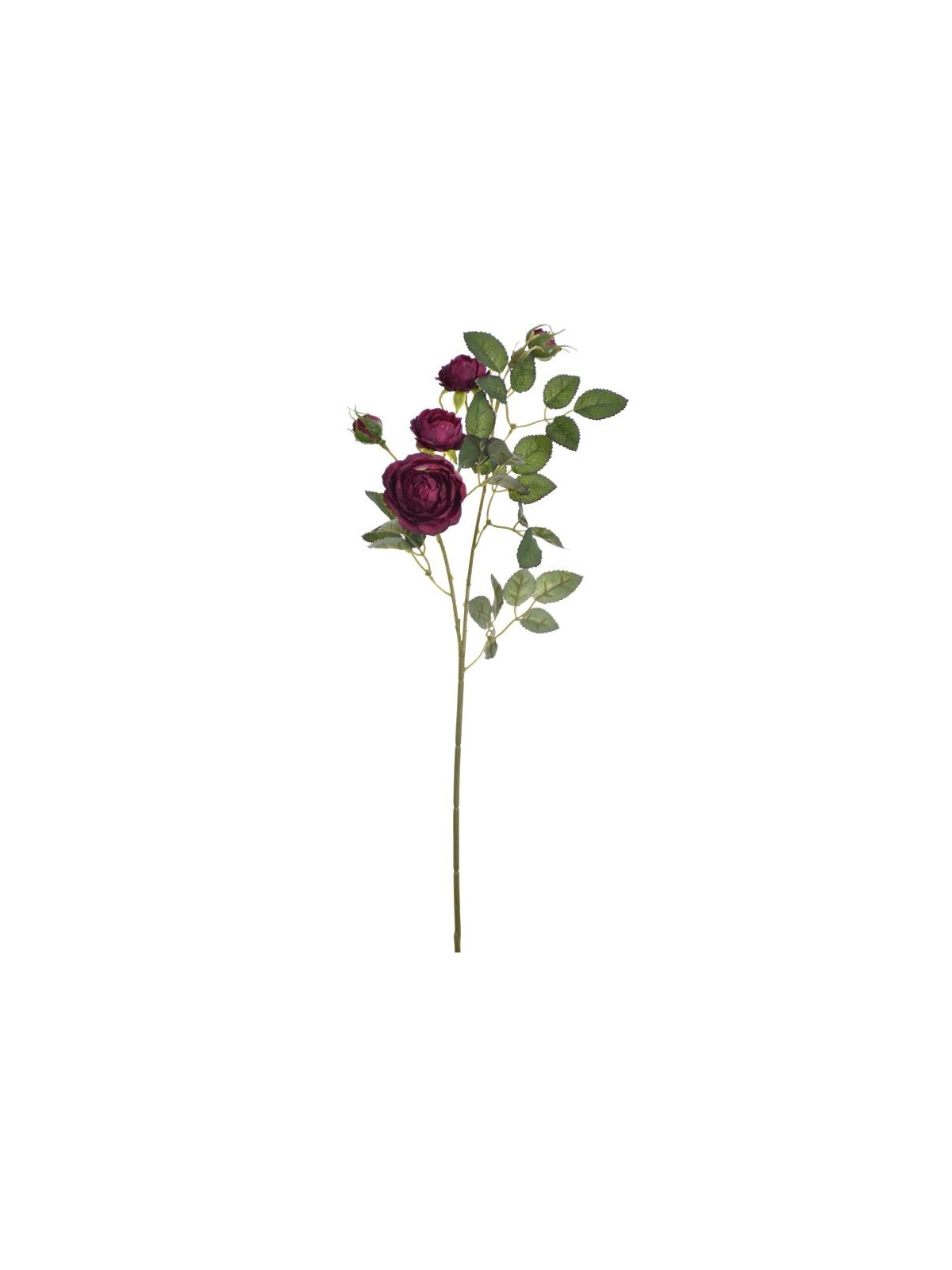 RÓŻA MINI NA GAŁĄZCE 50CM SUN760 BURGUNDY GREEN
