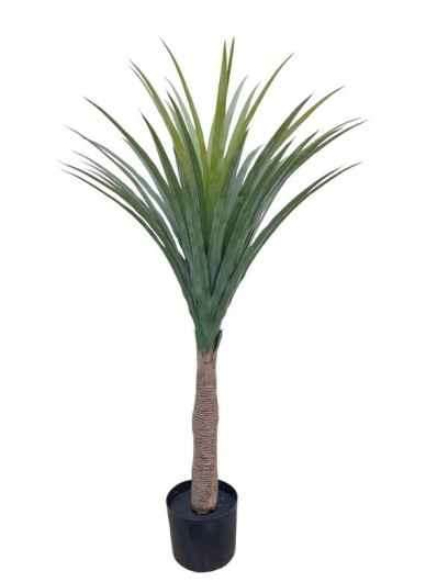 NOLINA DRZEWKO W DONICZCE 110CM GREEN