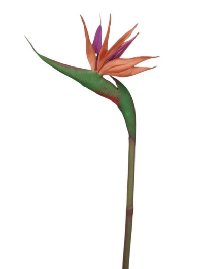 STRELICJA POJEDYNCZA GUMA 80CM ORANGE BROWN