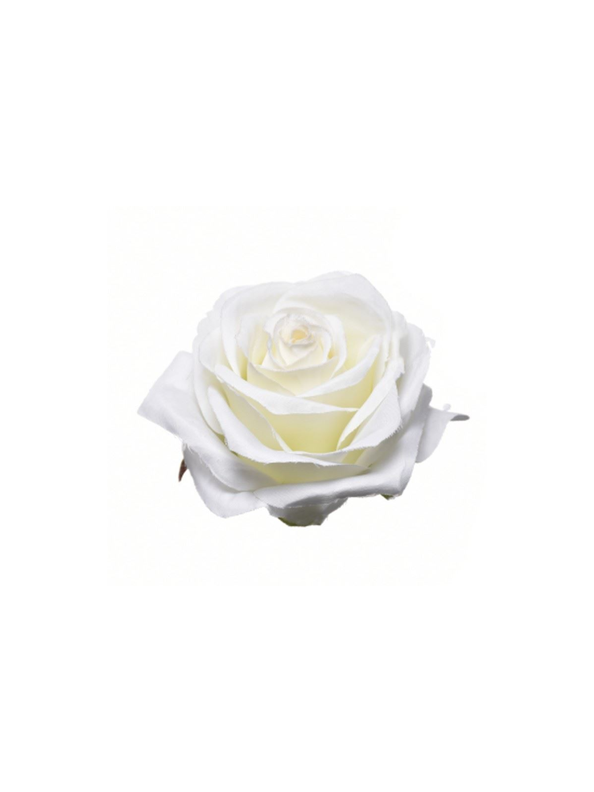 RÓŻA WYROBOWA 8CM SUN385 WHITE