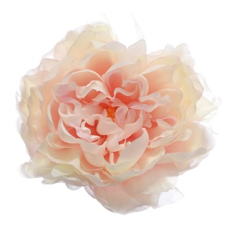 PEONIA WYROBOWA 15CM SUN406 PEACH