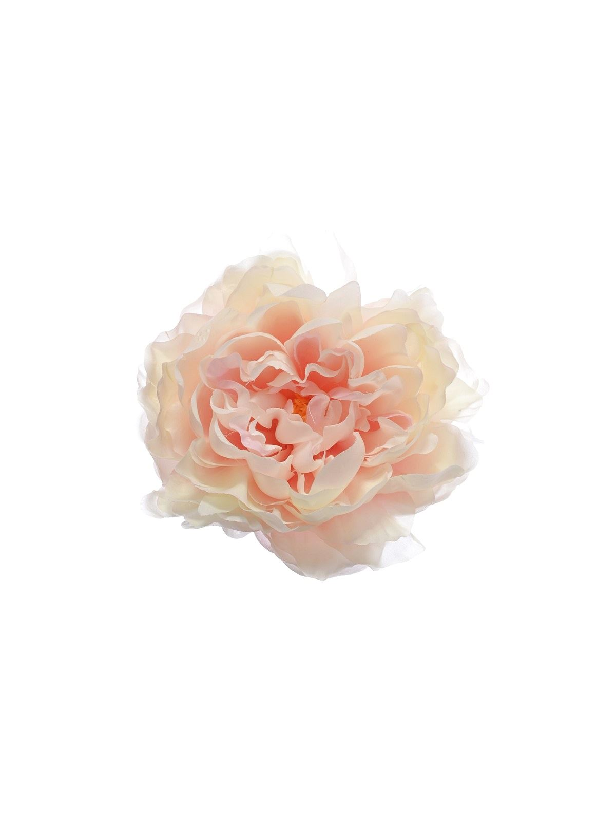 PEONIA WYROBOWA 15CM SUN406 PEACH