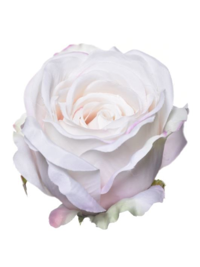 Róża główka rose head 9x8 cm sun388 cream pow pink