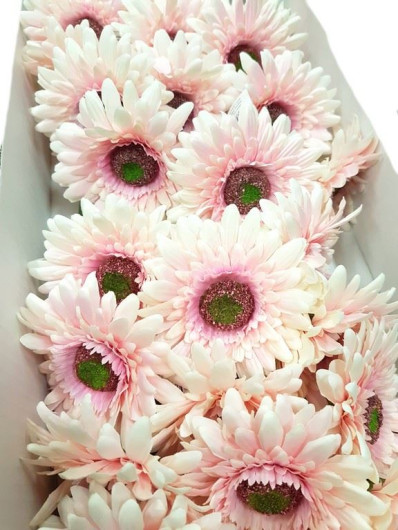 GERBERA POJEDYNCZA 47CM  SUN529 LT.PINK