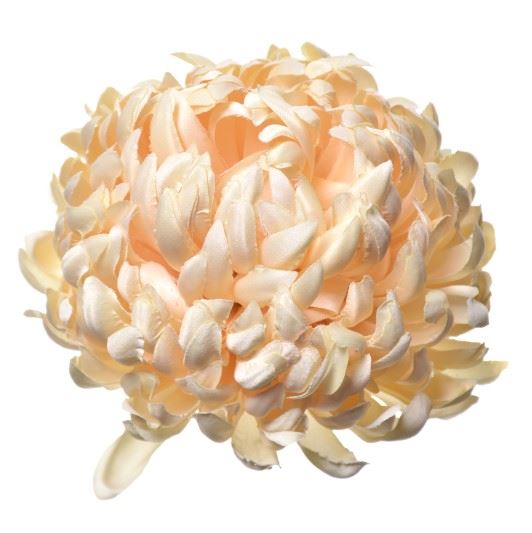 Chryzantema głowa 15cm ART037 vanilla 4