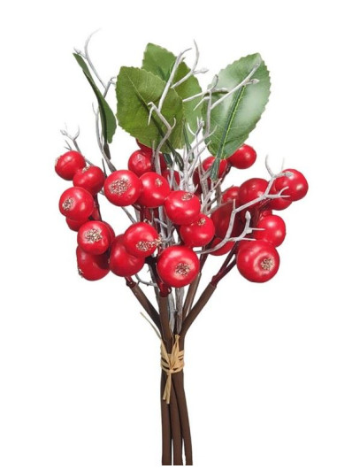 PĘCZEK OWOCÓW RAJSKIE JABŁKA MATOWE 28CM RED