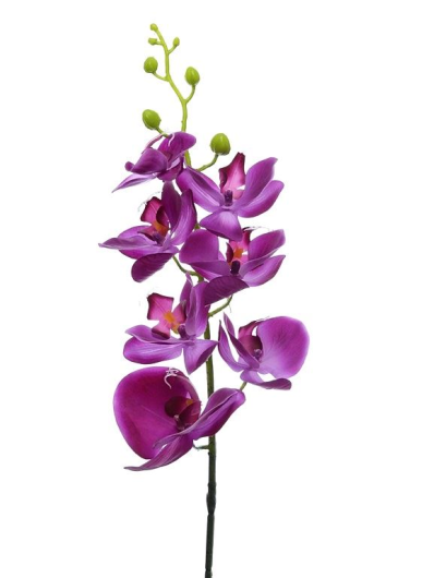 Storczyk guma 85cm Aj45598 dk. purple