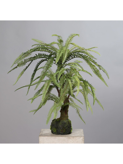 Fern in mud, 63 cm, green, 4/16 paproć