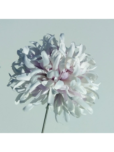 CHYZANTEMUM BALL ART100 12 WHITE/VIOLET