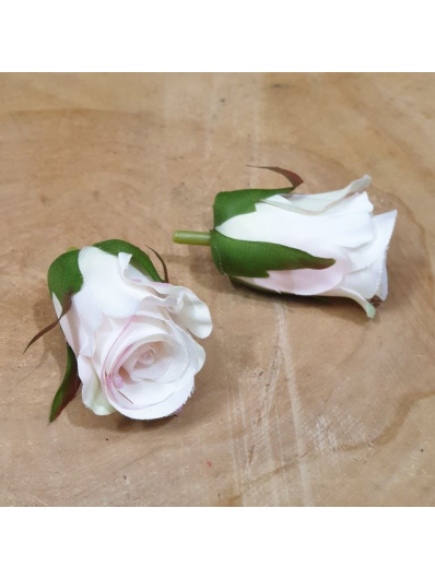 RÓŻA GŁÓWKA PĄK 3CM SUN421 CREAMY POWDER PINK