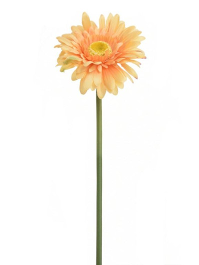 GERBERA POJEDYNCZA 47CM SUN529 LT TEA