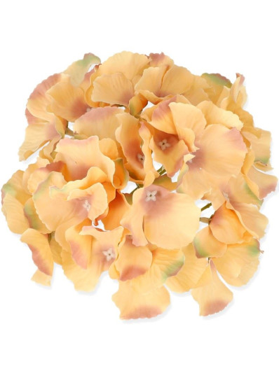 HORTENSJA GŁÓWKA 17CM / LE18 41 PEACH MIX