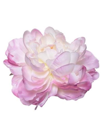 PEONIA WYROBOWA 15CM SUN406 LT PINK CREAM