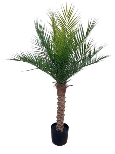 PALMA W DONICZCE 120 CM GREEN