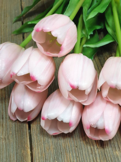 TULIPAN POJEDYNCZY GUMA - NEW 38CM LT PINK