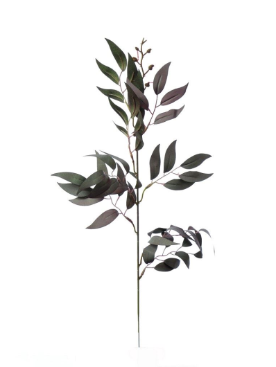 Ruskus na piku liu388 powder green violet