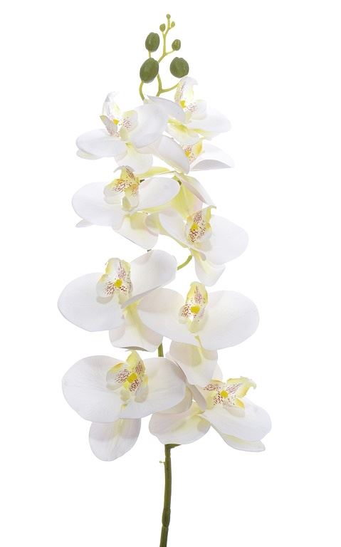 STORCZYK 98CM SOFT TOUCH ERA1012 WHITE