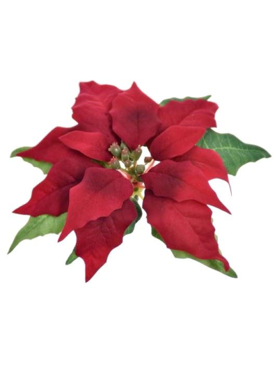 POINSECJA GŁOWA VELVET 17CM SUN715 RUBIN