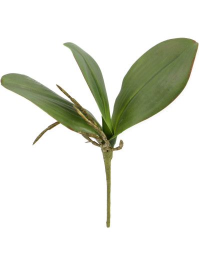 LIŚĆ DO STORCZYKA 3 LIŚCIE  24CM  / LG58 GREEN