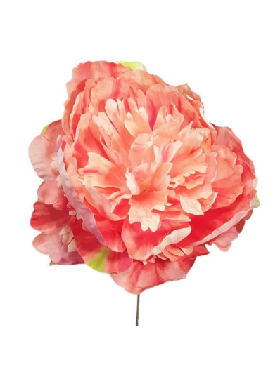 PEONIA PICK O 18 CM H 18 CM SALMON