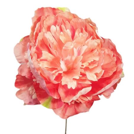 PEONIA PICK O 18 CM H 18 CM SALMON