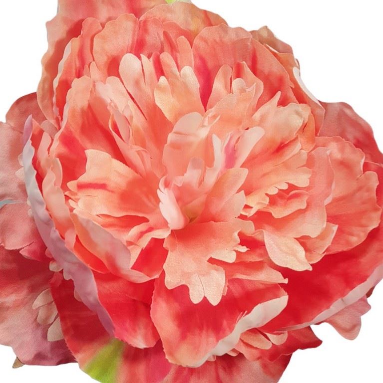 PEONIA PICK O 18 CM H 18 CM SALMON