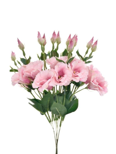 EUSTOMA NA PIKU 47CM SUN357  DEEP PINK