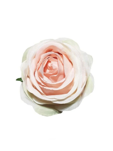 RÓŻA WYR. POPPY 7,5CM SUN564  PEACH LT.GREEN