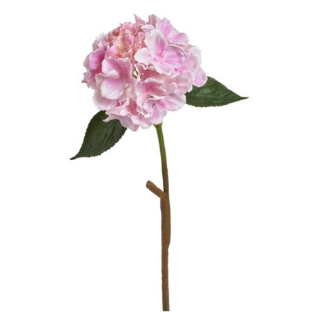 Hortensja x1 59cm mauve