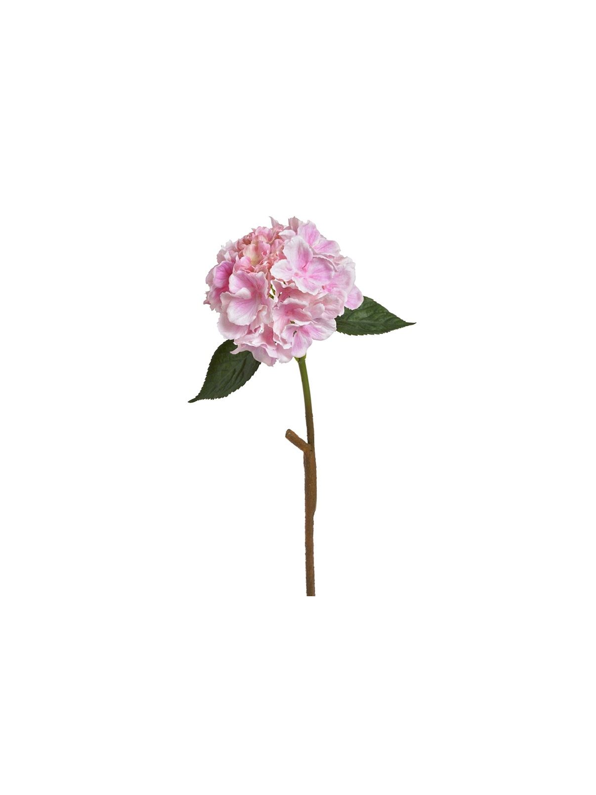 Hortensja x1 59cm mauve
