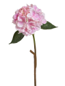 Hortensja x1 59cm mauve