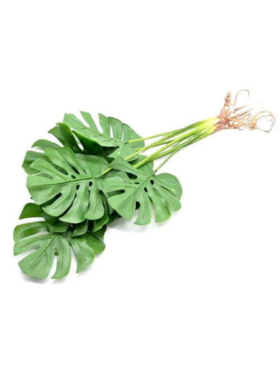 MONSTERA DO DONICZKI GUMA 60CM 7 LIŚCI GREEN