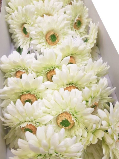 GERBERA POJEDYNCZA 47CM SUN529 LT.GREEN